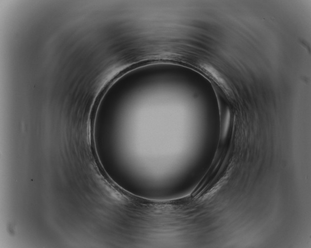 X0000091860940200709121327