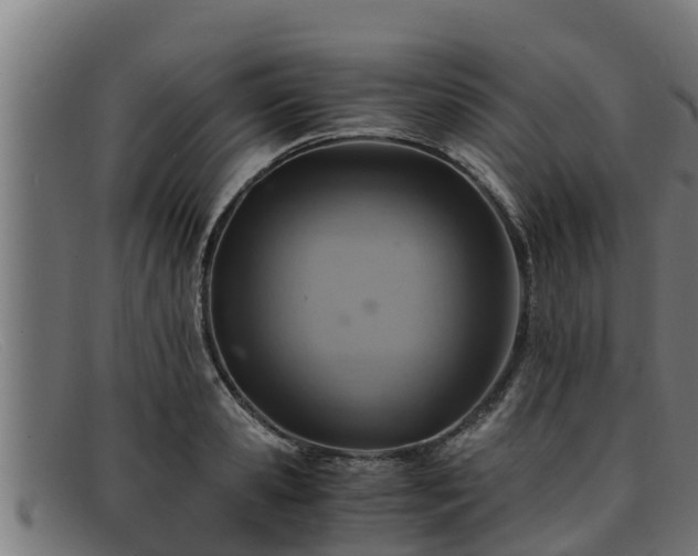 X0000091860941200709121327