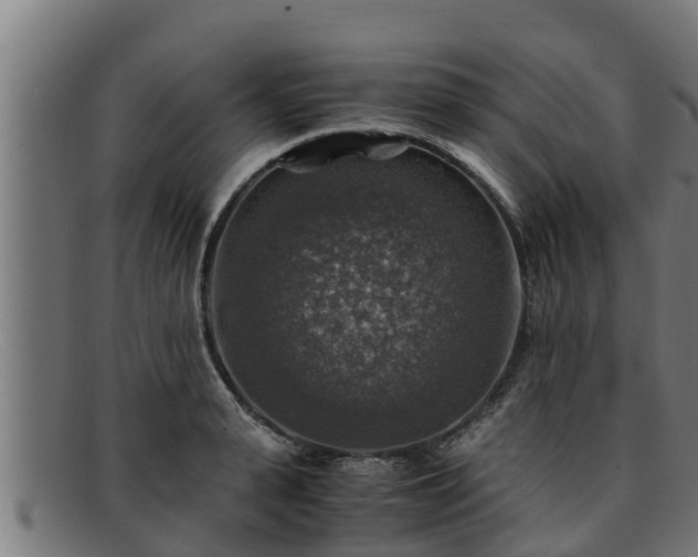 X0000091860943200709121327