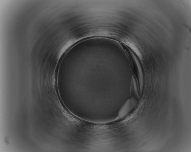 X0000091860944200709121327