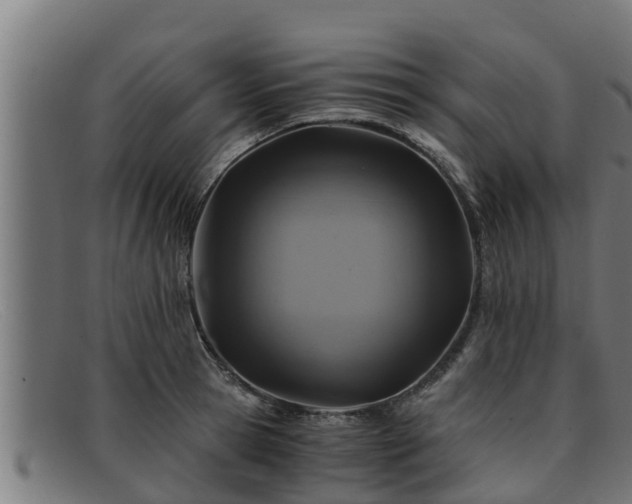 X0000091860945200709121327