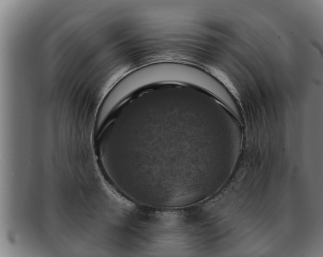 X0000091860946200709121327