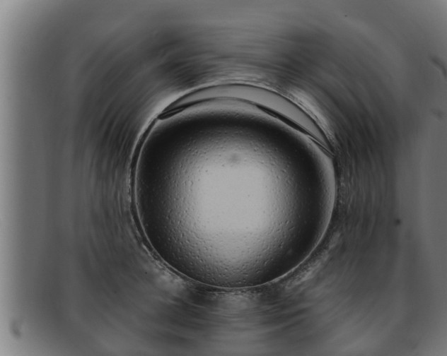 X0000091860948200709121327