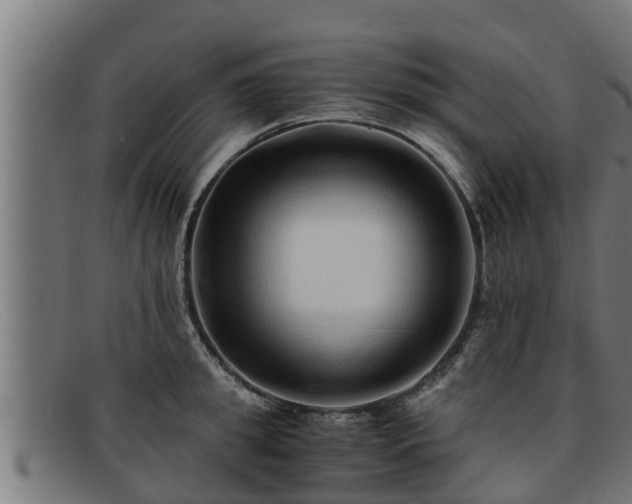 X0000091860949200709121327