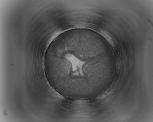 X0000091860950200709121327