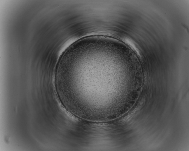 X0000091860952200709121327