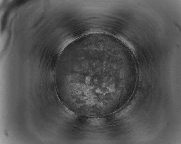 X0000091860953200709121327