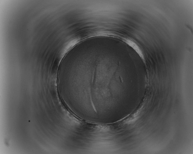 X0000091860954200709121327