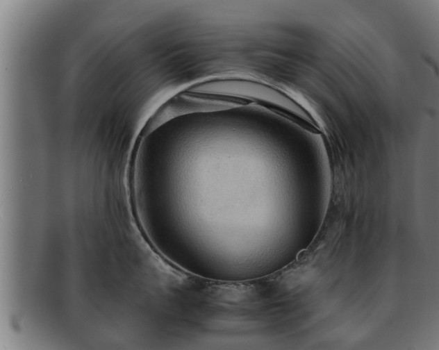 X0000091860959200709121327