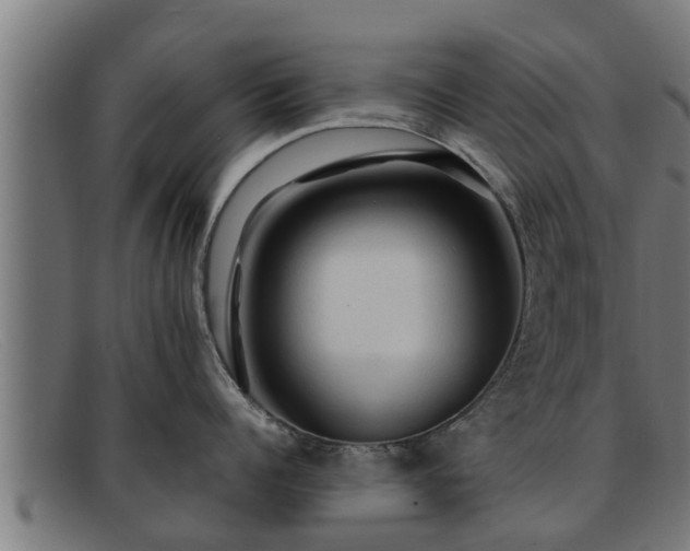 X0000091860960200709121327