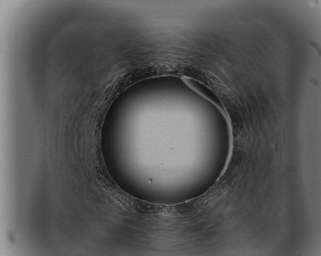 X0000091860961200709121327