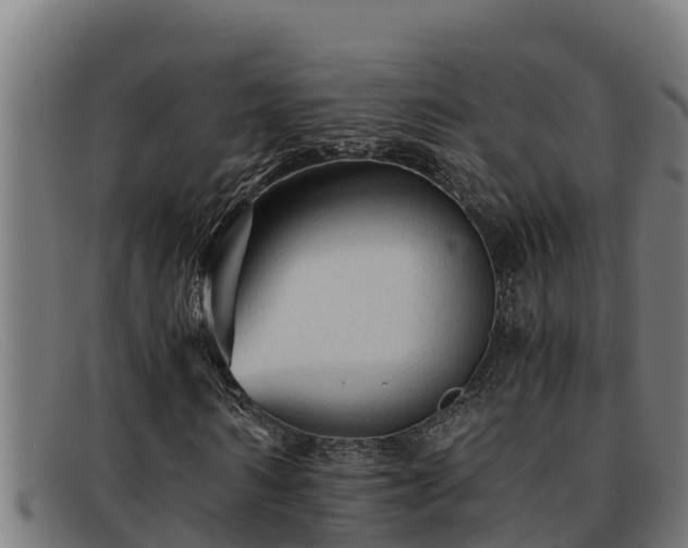 X0000091860962200709121327