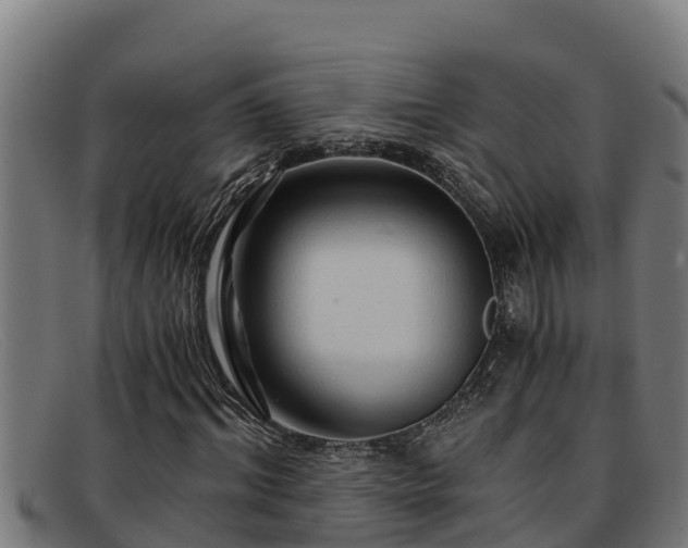 X0000091860964200709121327