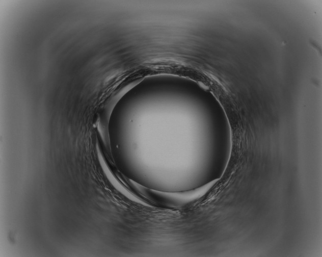 X0000091860965200709121327