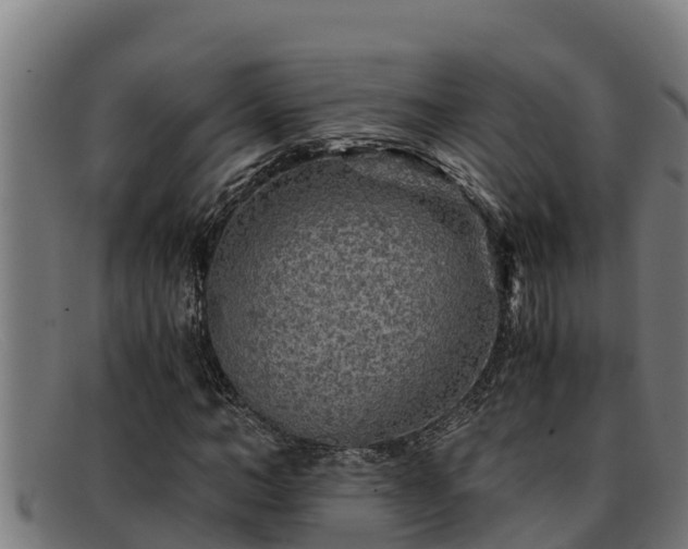 X0000091860966200709121327