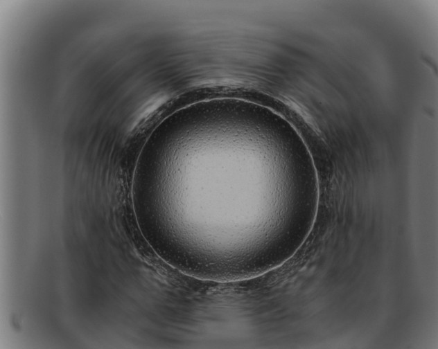 X0000091860967200709121327