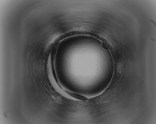 X0000091860968200709121327