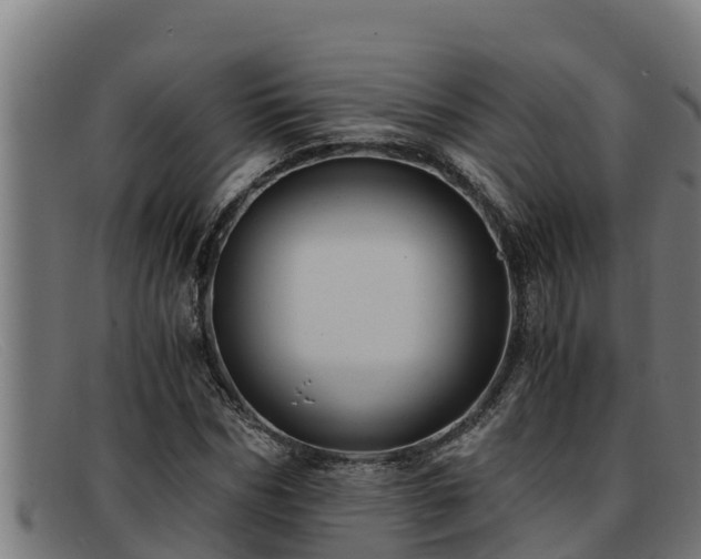 X0000091860970200709121327