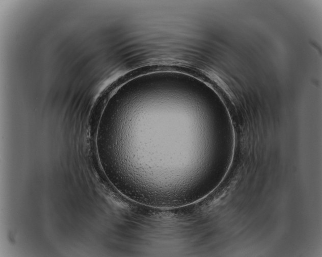 X0000091860971200709121327