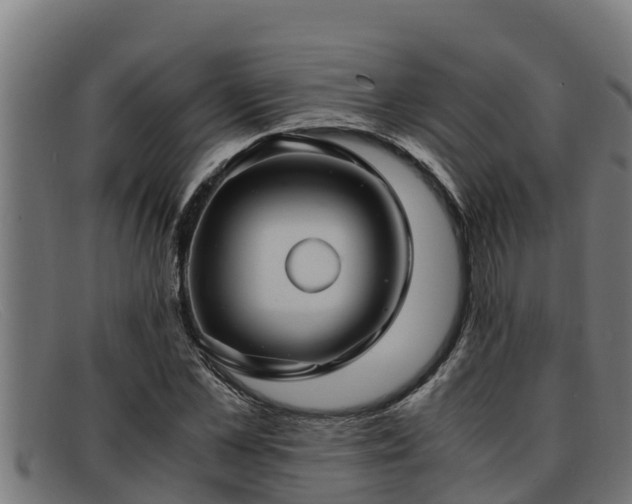 X0000091860973200709121327