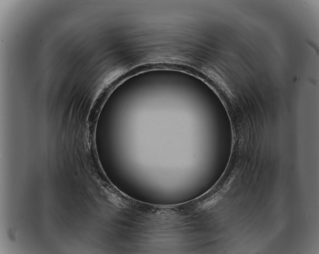 X0000091860974200709121327