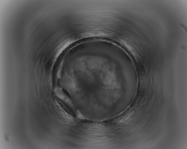 X0000091860975200709121327