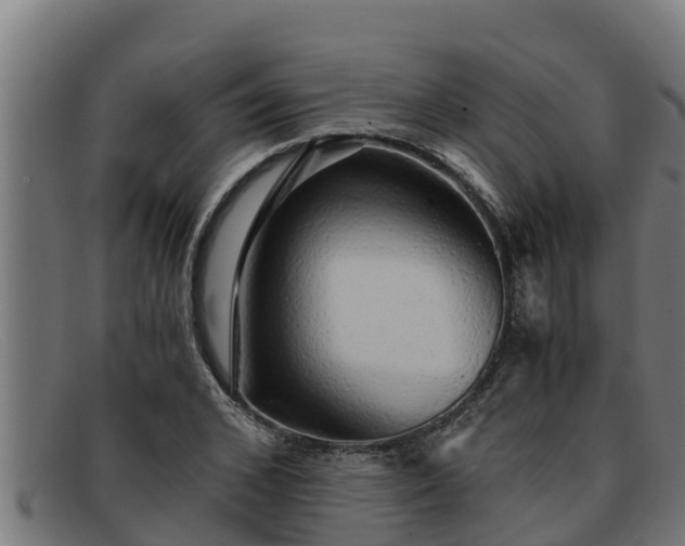 X0000091860976200709121327