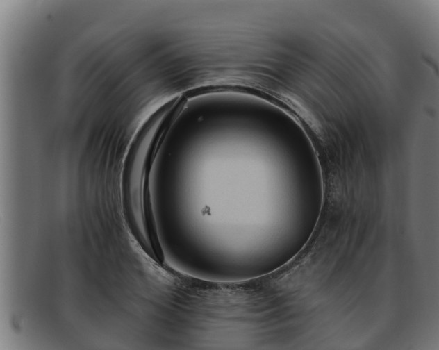 X0000091860980200709121327