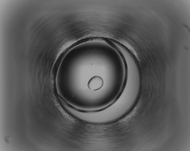 X0000091860981200709121327