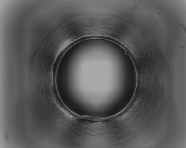 X0000091860982200709121327