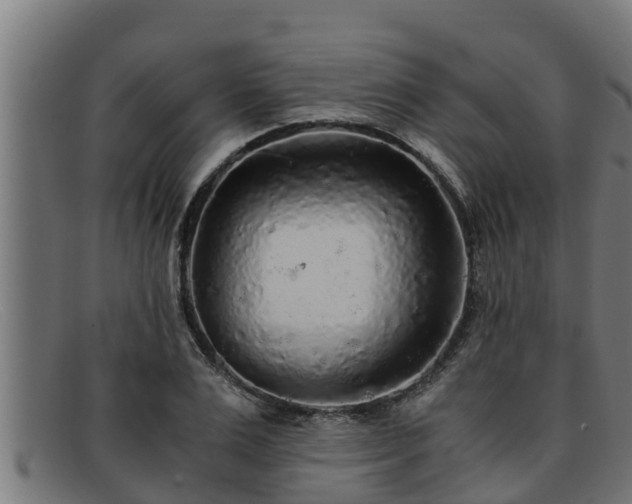 X0000091860983200709121327