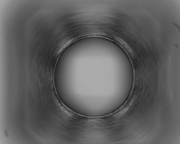 X0000091860985200709121327