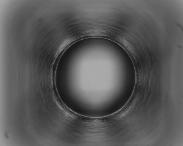 X0000091860986200709121327