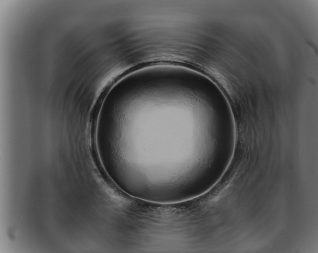 X0000091860987200709121327