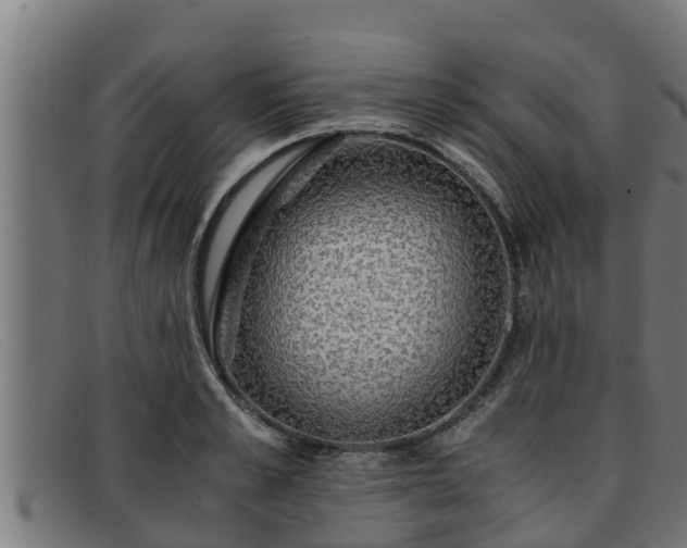 X0000091860989200709121326