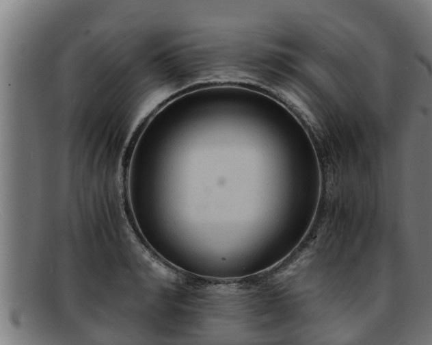 X0000091860990200709121326