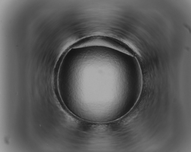 X0000091860991200709121326