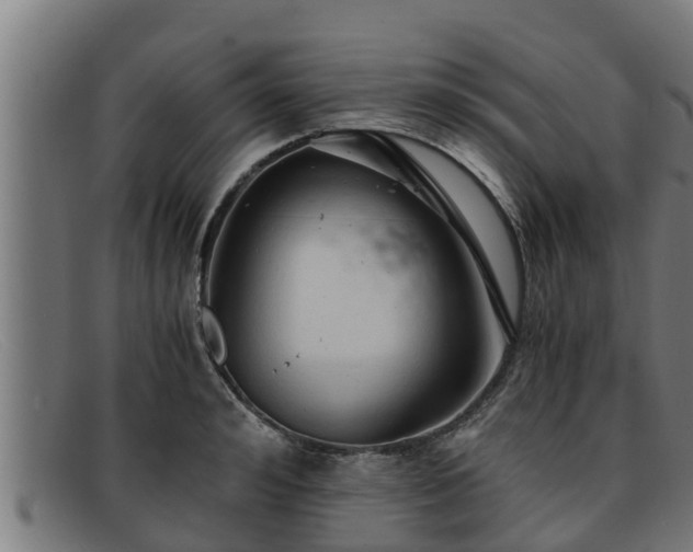 X0000091860992200709121326