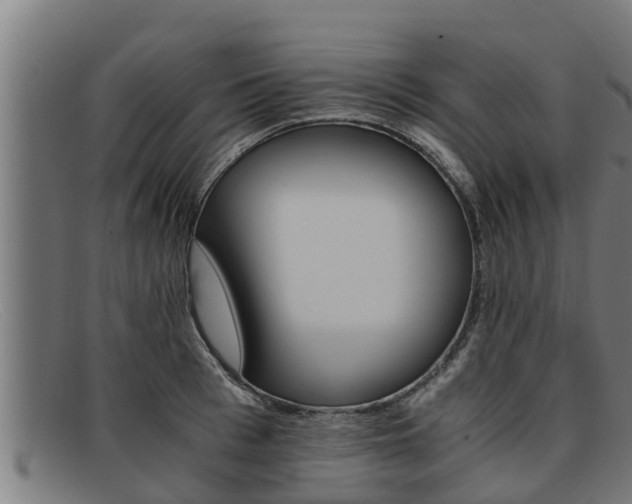 X0000091860993200709121326