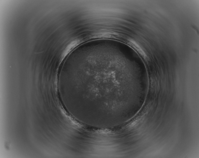 X0000091860994200709121326