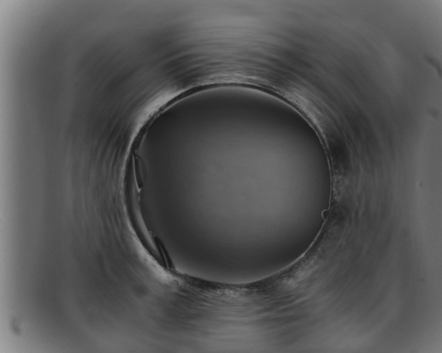 X0000091860995200709121326