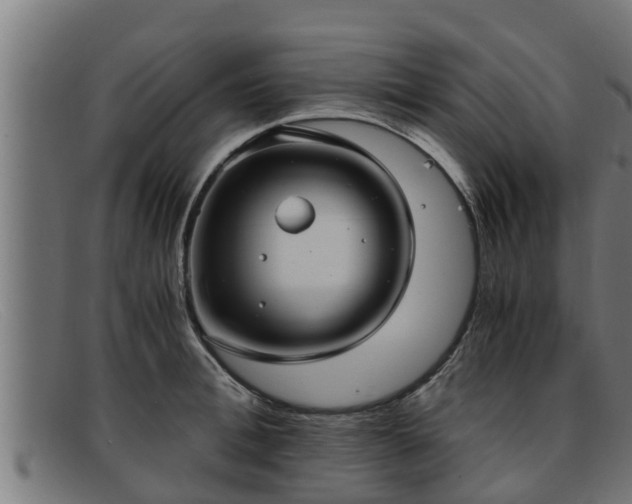 X0000091860996200709121326