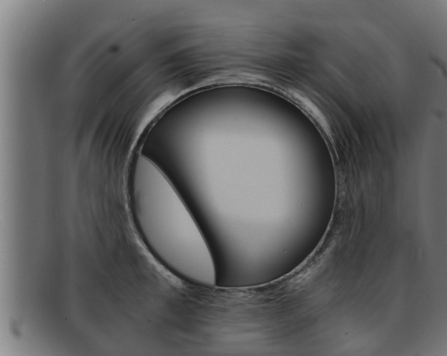 X0000091860997200709121326