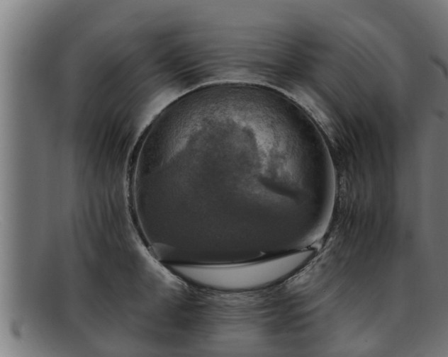 X0000091860998200709121326