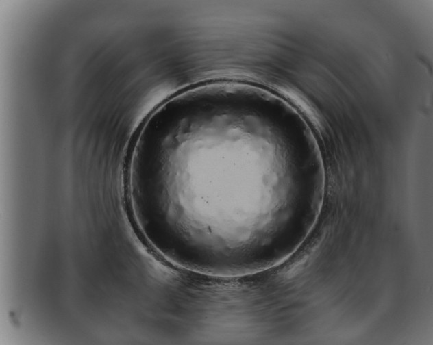 X0000091860999200709121326