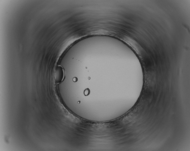 X0000091861000200709121326