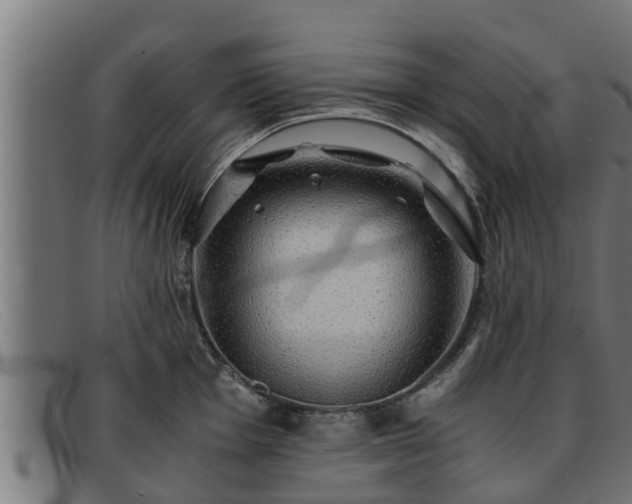 X0000091861001200709121326