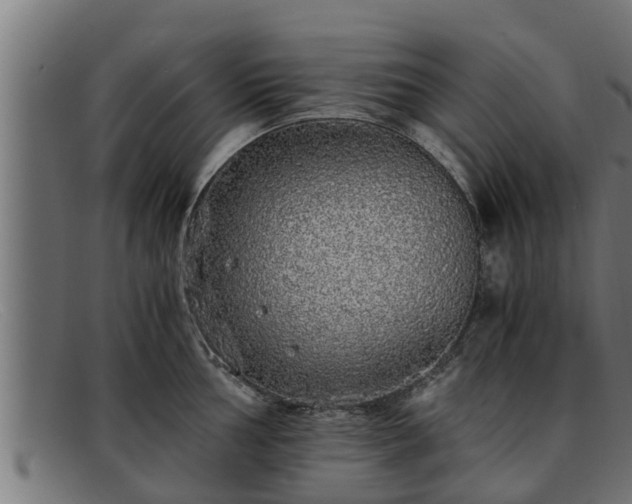 X0000091861002200709121326