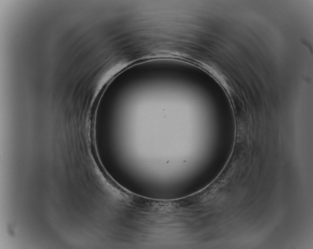 X0000091861003200709121326