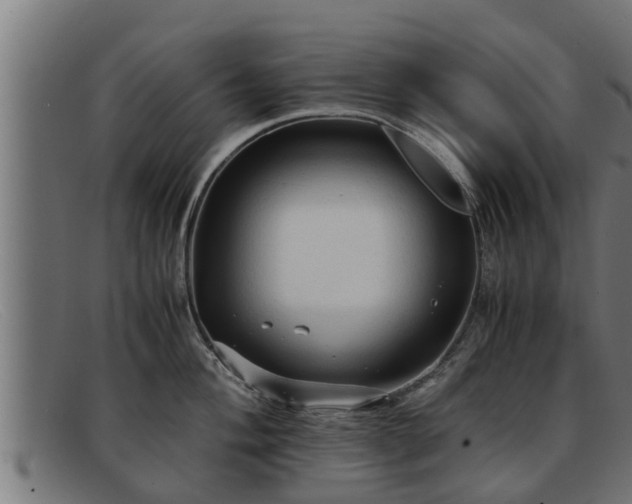 X0000091861004200709121326